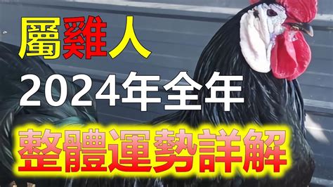 屬雞今年運勢|不同年份生肖雞運勢及運程2024